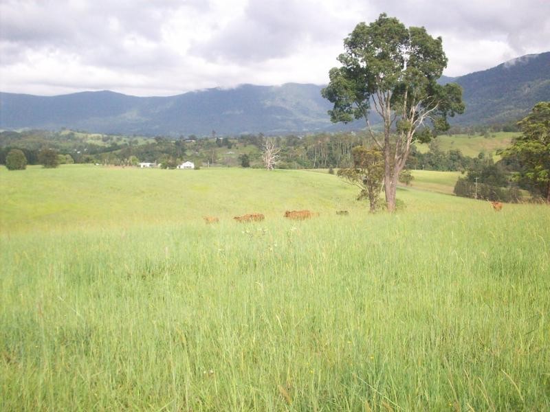 Tyalgum NSW 2484
