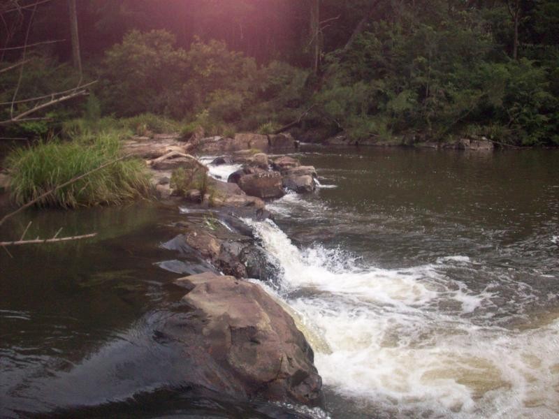 Tyalgum NSW 2484
