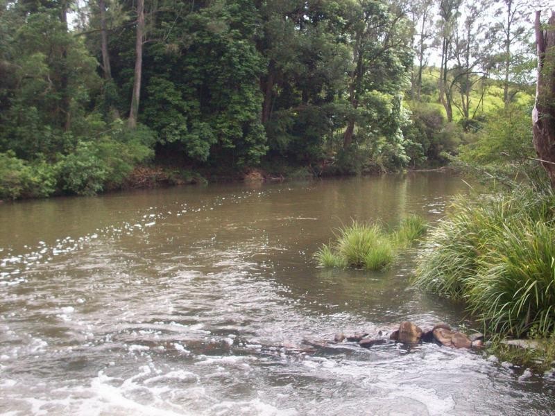 Tyalgum NSW 2484
