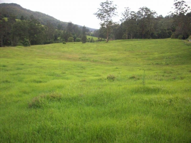 Tyalgum NSW 2484