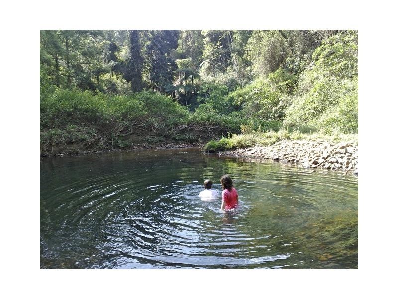 Crystal Creek NSW 2484