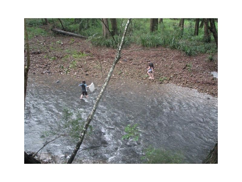 Crystal Creek NSW 2484