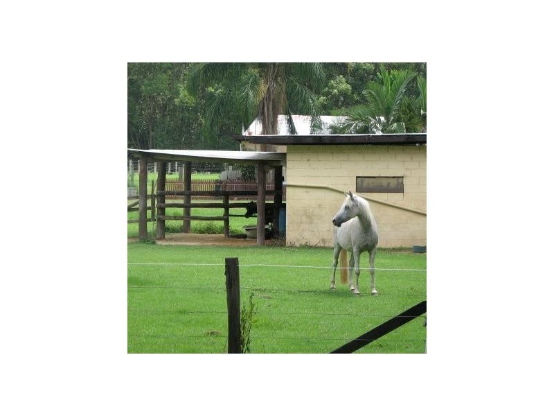 Crystal Creek NSW 2484