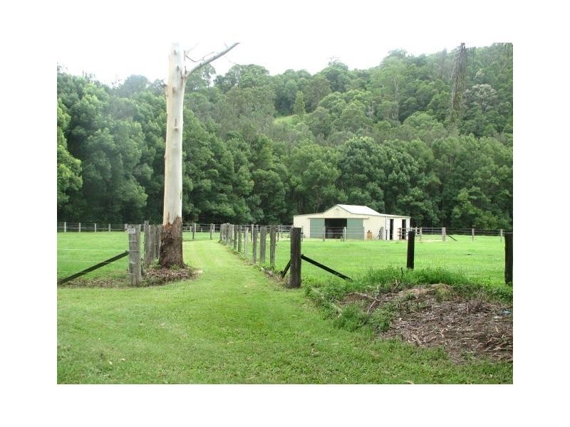 Crystal Creek NSW 2484