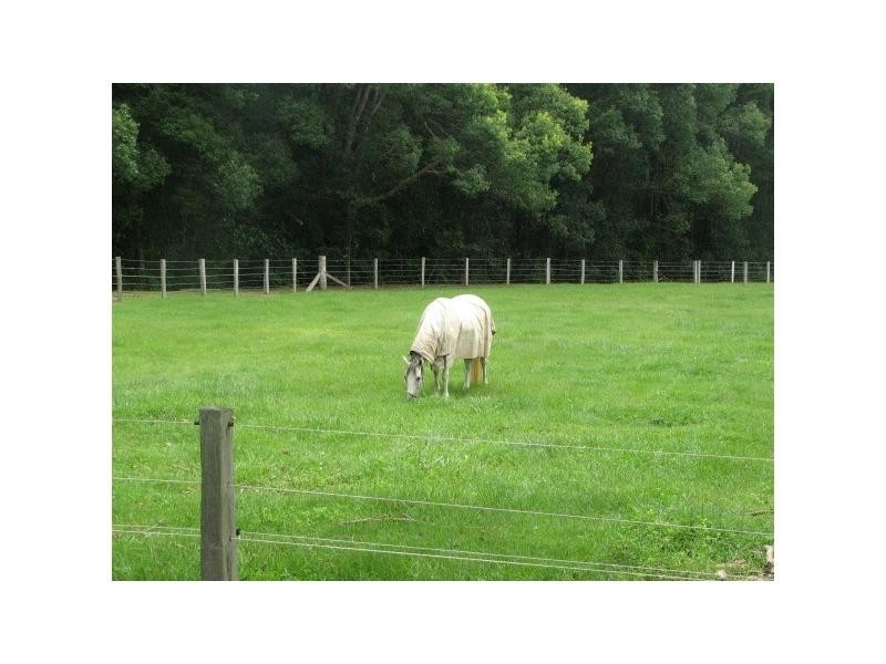 Crystal Creek NSW 2484