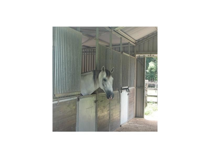 Crystal Creek NSW 2484