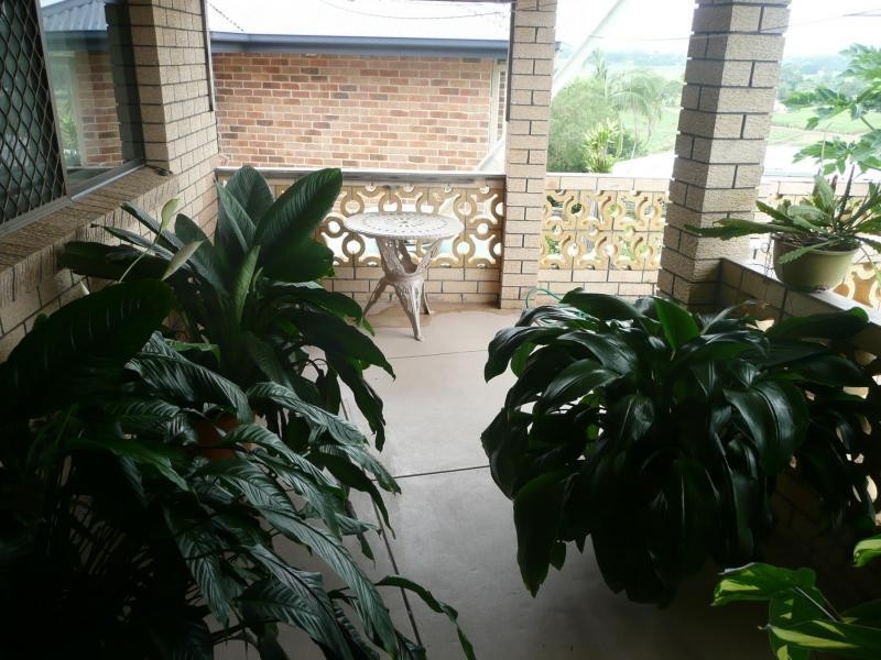 10 Frangela Drive, Murwillumbah NSW 2484