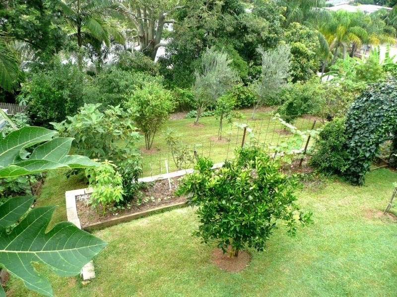 10 Frangela Drive, Murwillumbah NSW 2484