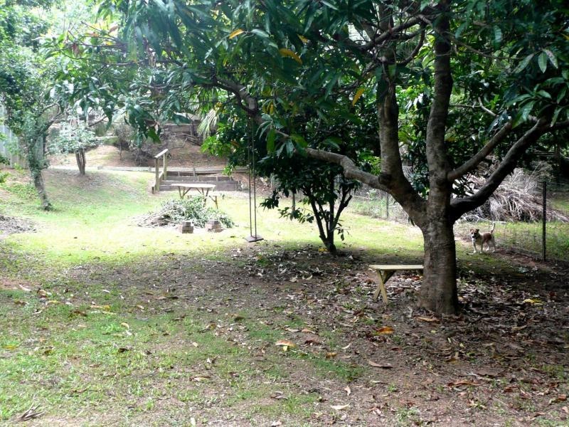 Murwillumbah NSW 2484