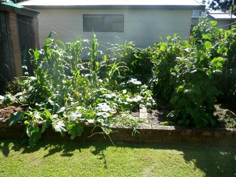 Mooball NSW 2483