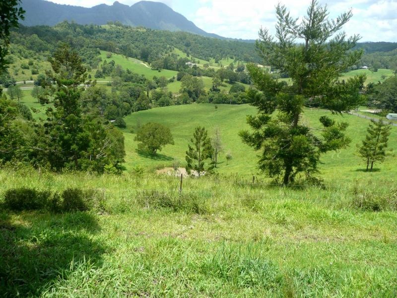 Kunghur NSW 2484
