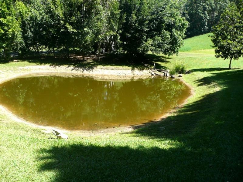 677 Hogans Road, North Tumbulgum NSW 2490