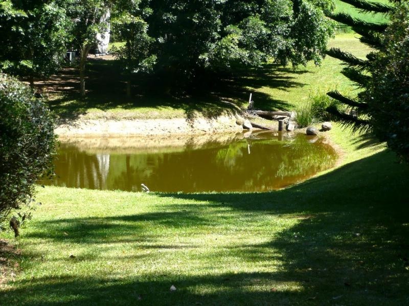 677 Hogans Road, North Tumbulgum NSW 2490