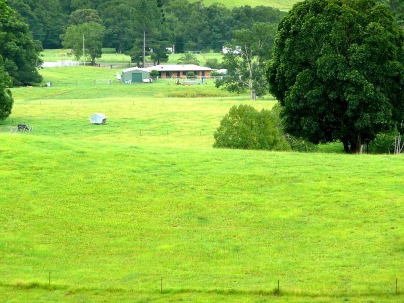 Chillingham NSW 2484