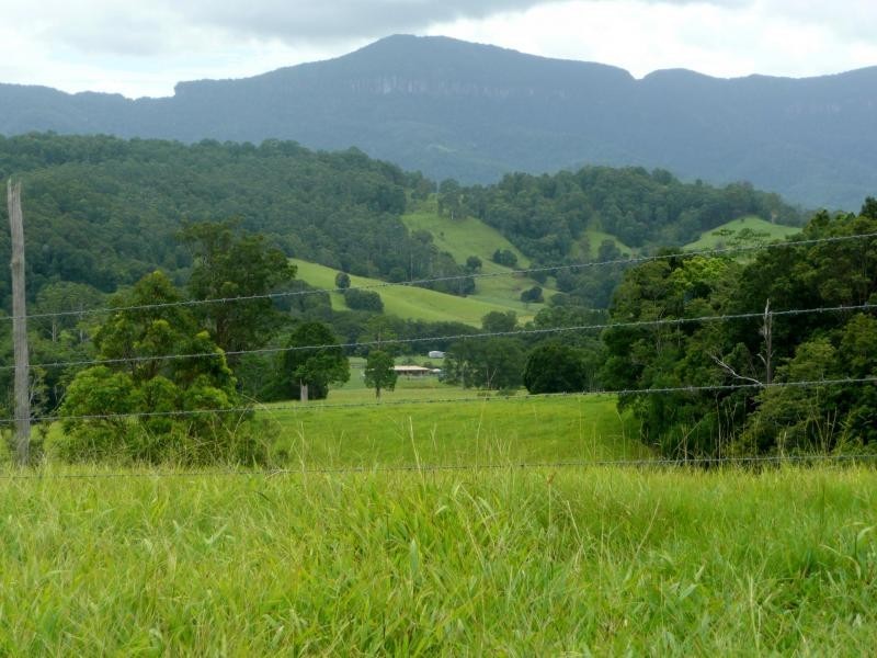 Chillingham NSW 2484