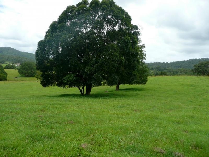 Chillingham NSW 2484