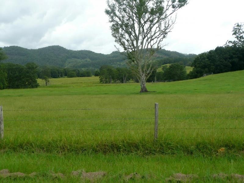 Chillingham NSW 2484