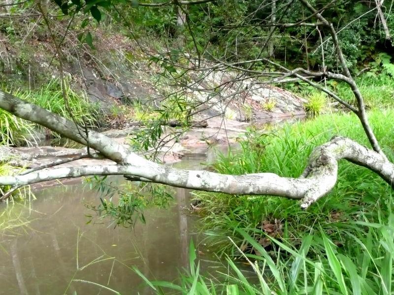 Chillingham NSW 2484