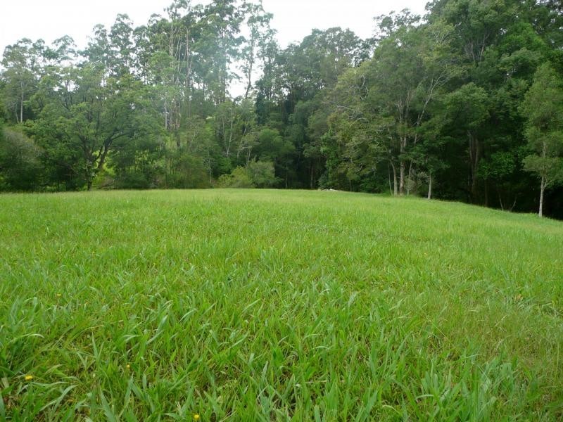 Chillingham NSW 2484