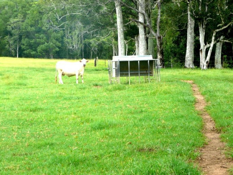 Chillingham NSW 2484