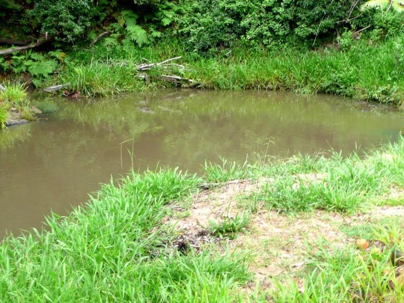 Chillingham NSW 2484