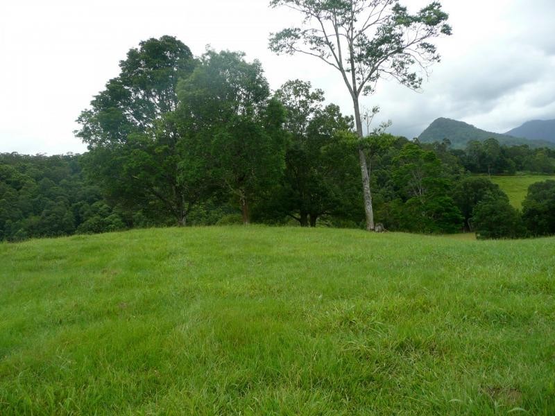 Chillingham NSW 2484