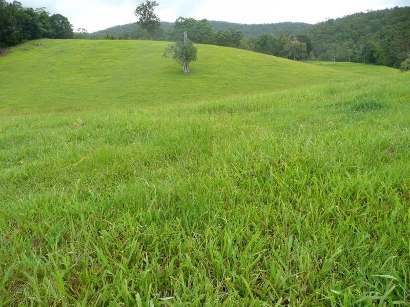 Chillingham NSW 2484