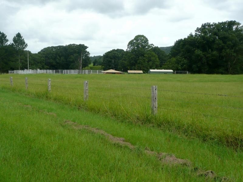 Chillingham NSW 2484