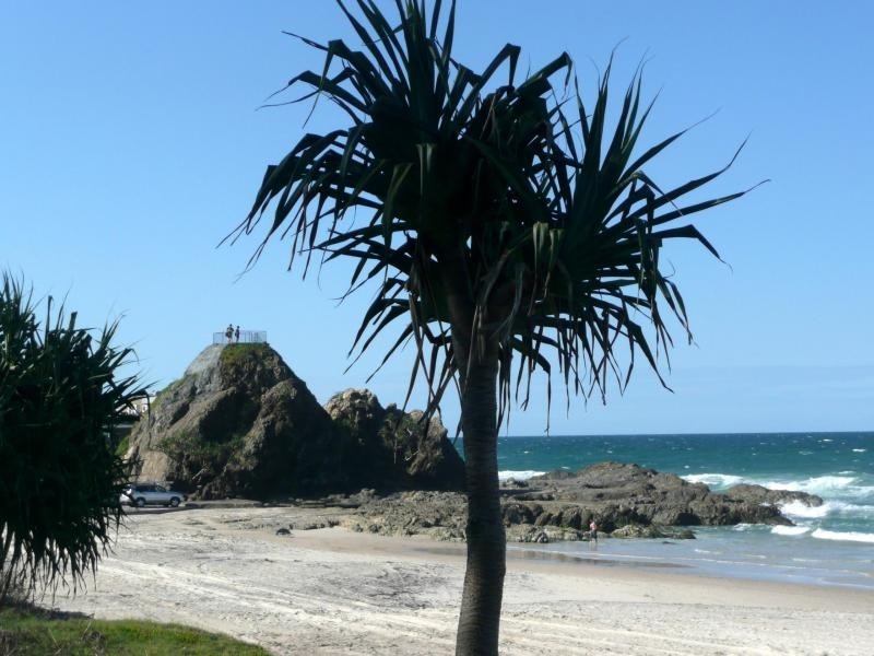 1/1A Tomewin Street, Currumbin QLD 4223