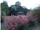 Crabbes Creek NSW 2483