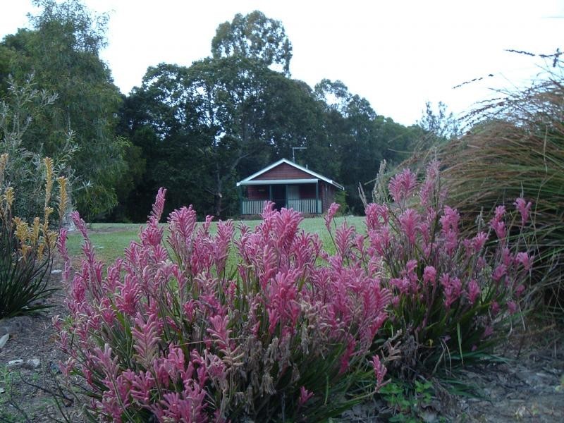 Crabbes Creek NSW 2483