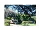 Crabbes Creek NSW 2483