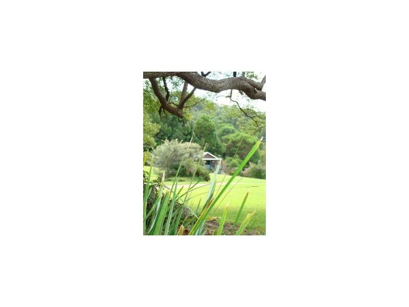 Crabbes Creek NSW 2483
