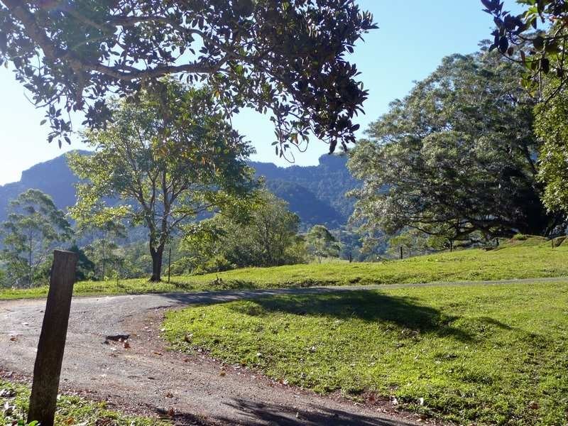 1904 Numinbah Road, Chillingham NSW 2484