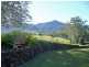 1904 Numinbah Road, Chillingham NSW 2484
