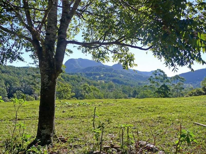 1904 Numinbah Road, Chillingham NSW 2484