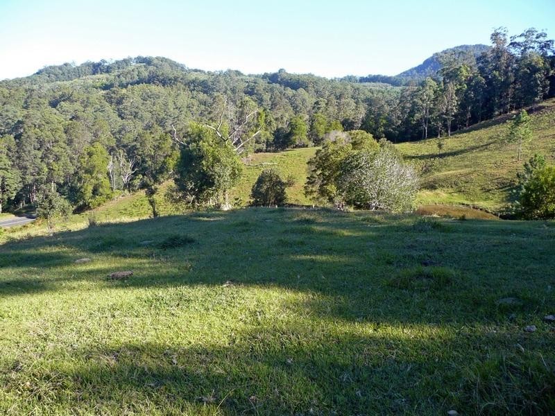 1904 Numinbah Road, Chillingham NSW 2484