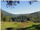 1904 Numinbah Road, Chillingham NSW 2484