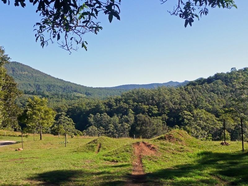 1904 Numinbah Road, Chillingham NSW 2484