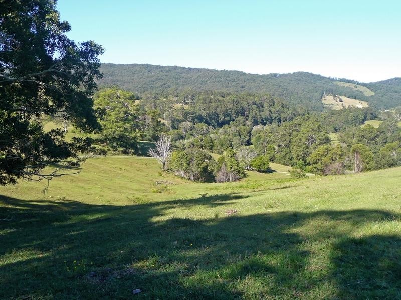 1904 Numinbah Road, Chillingham NSW 2484