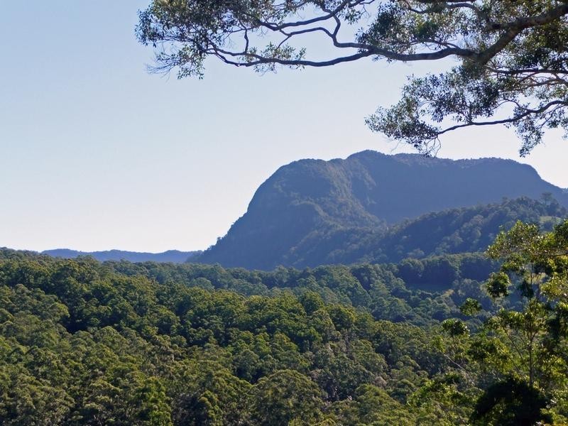 1904 Numinbah Road, Chillingham NSW 2484