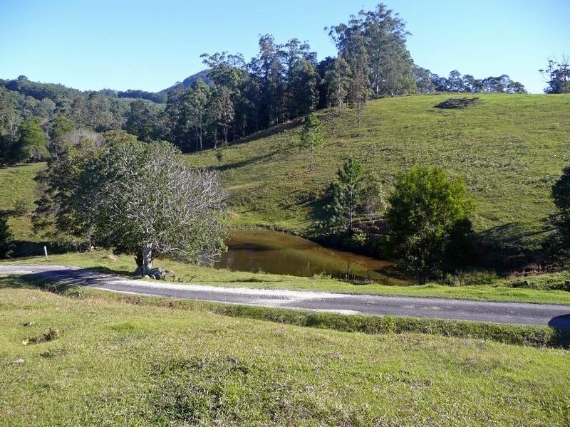 1904 Numinbah Road, Chillingham NSW 2484