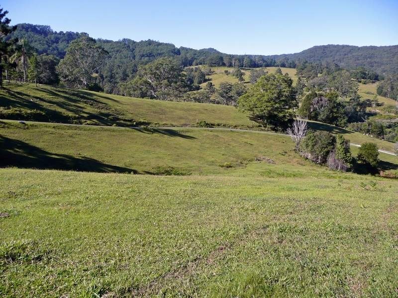 1904 Numinbah Road, Chillingham NSW 2484