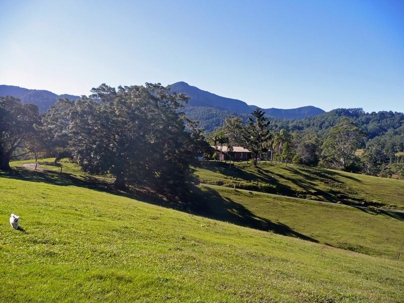 1904 Numinbah Road, Chillingham NSW 2484