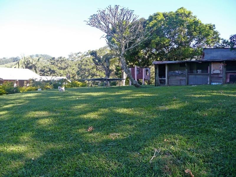 1904 Numinbah Road, Chillingham NSW 2484