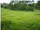 668 Upper Crystal Creek Road, Crystal Creek NSW 2484