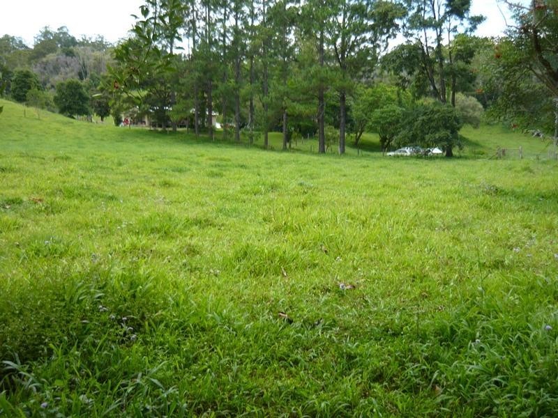 668 Upper Crystal Creek Road, Crystal Creek NSW 2484