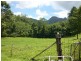 668 Upper Crystal Creek Road, Crystal Creek NSW 2484