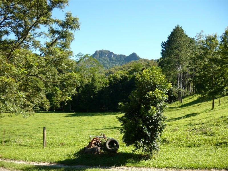 668 Upper Crystal Creek Road, Crystal Creek NSW 2484