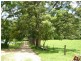 668 Upper Crystal Creek Road, Crystal Creek NSW 2484